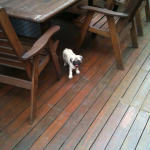 put in perspective, he's quite little.