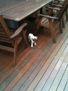 put in perspective, he's quite little.