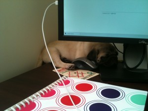 Good place for a nap?